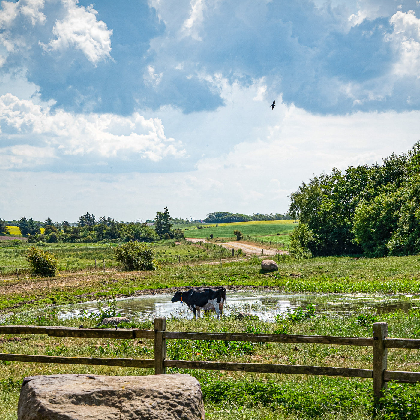 We own land - so we have big responsibility